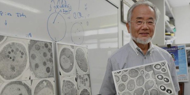 Yoshinori Ohusmi Lab