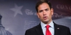 Marco Rubio Success Story