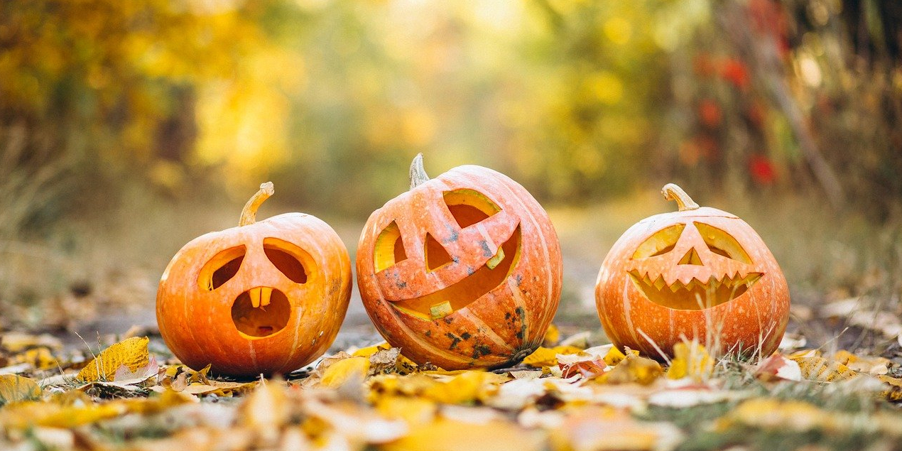 Most Expensive Halloween Costumes