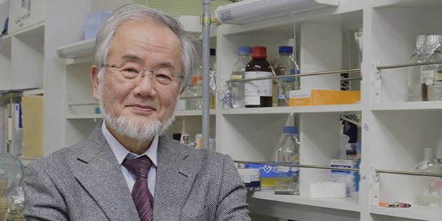 Yoshinori Ohsumi Google Scholar